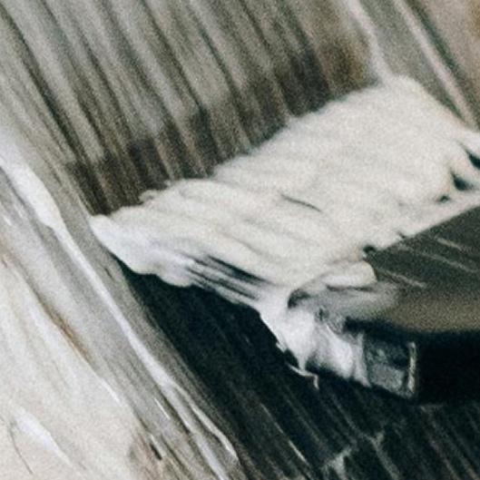 The 6 Week Grey Coverage Membership